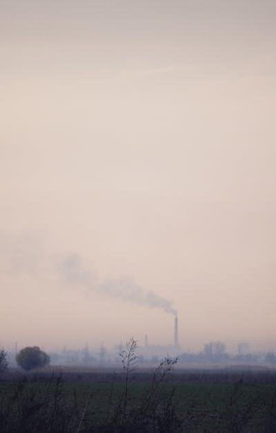 pexels-photo-9560086